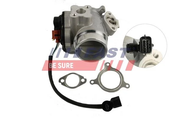 EGR Valve FAST FT60209