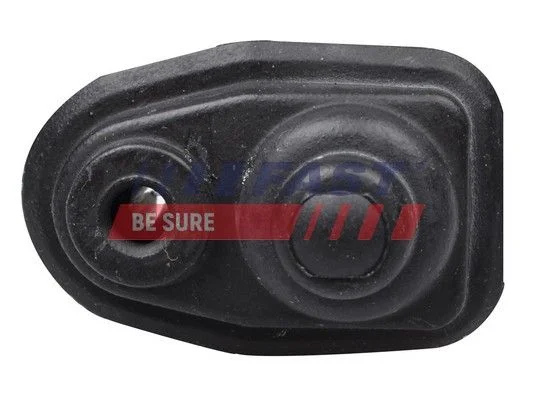 Switch, interior light FAST FT81087