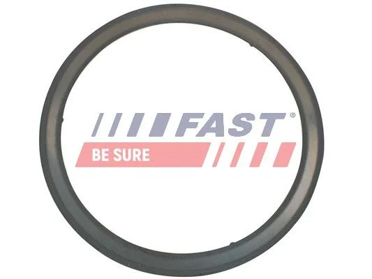 Gasket, exhaust pipe FAST FT84595