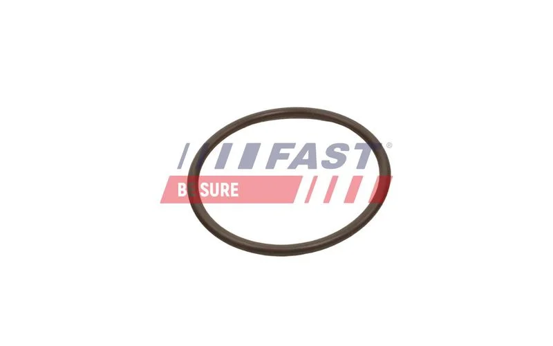 Seal Ring, charge air hose  FT49933