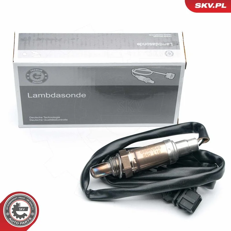 3922 ESEN SKV 09SKV545