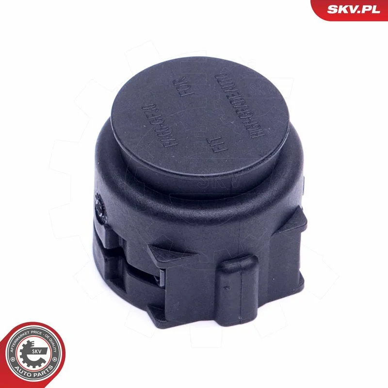 Sealing Plug, coolant flange ESEN SKV 43SKV620