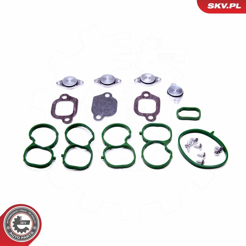 Repair Kit, intake manifold module ESEN SKV 49SKV512