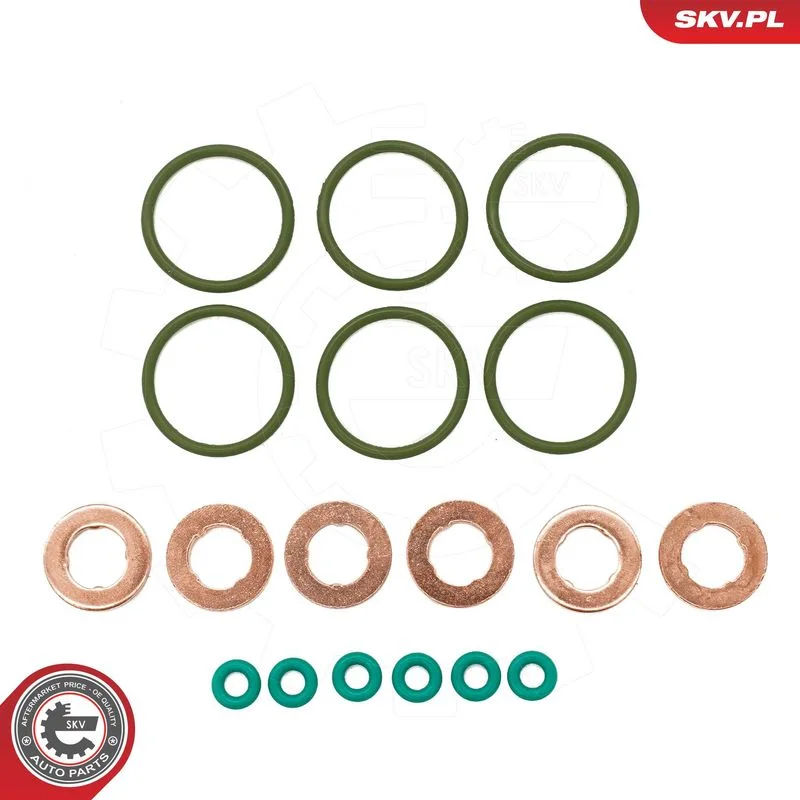 Seal Ring Set, injection valve ESEN SKV 53SKV200