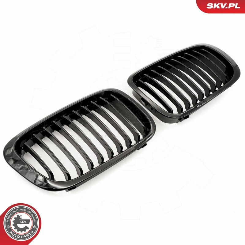 Radiator Grille ESEN SKV 66SKV060