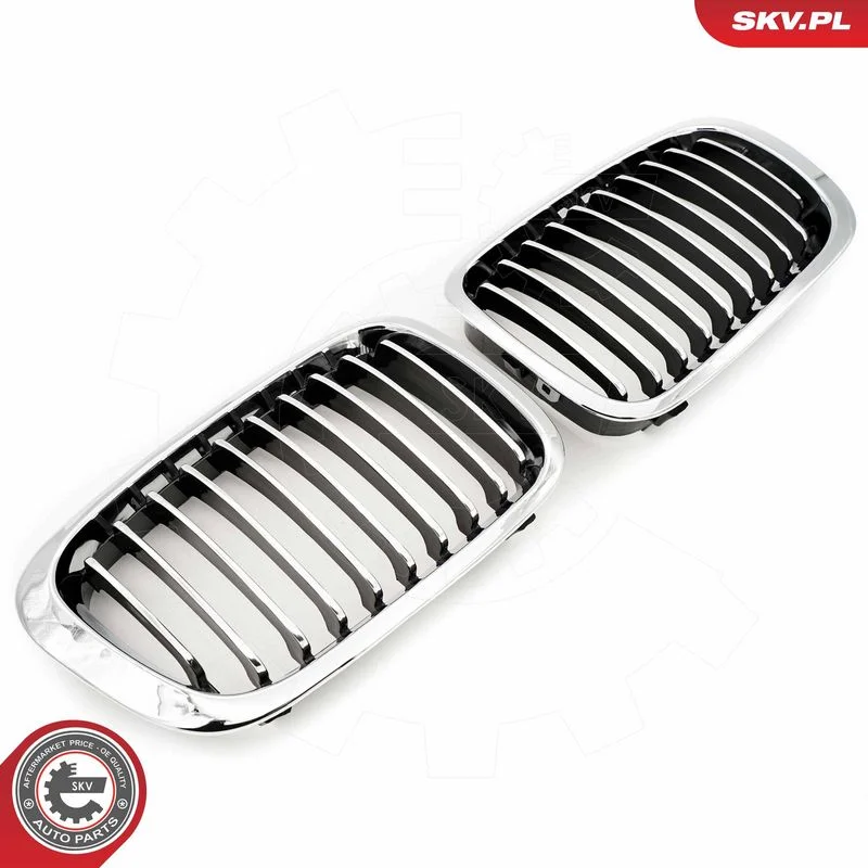 Radiator Grille ESEN SKV 66SKV063