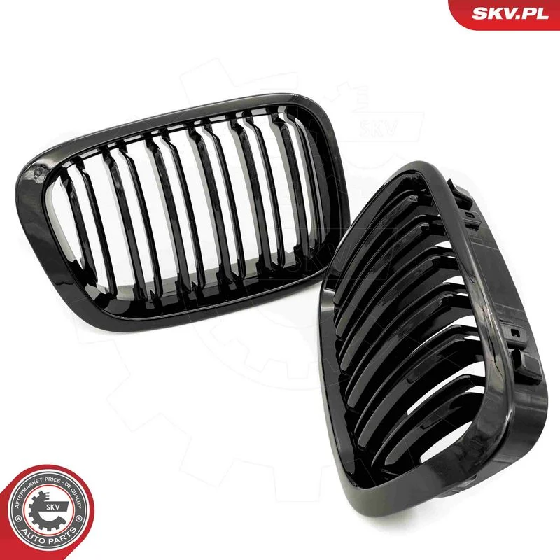 Radiator Grille ESEN SKV 66SKV066