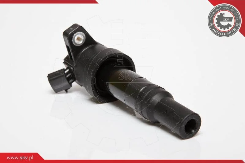 Ignition Coil ESEN SKV 03SKV201