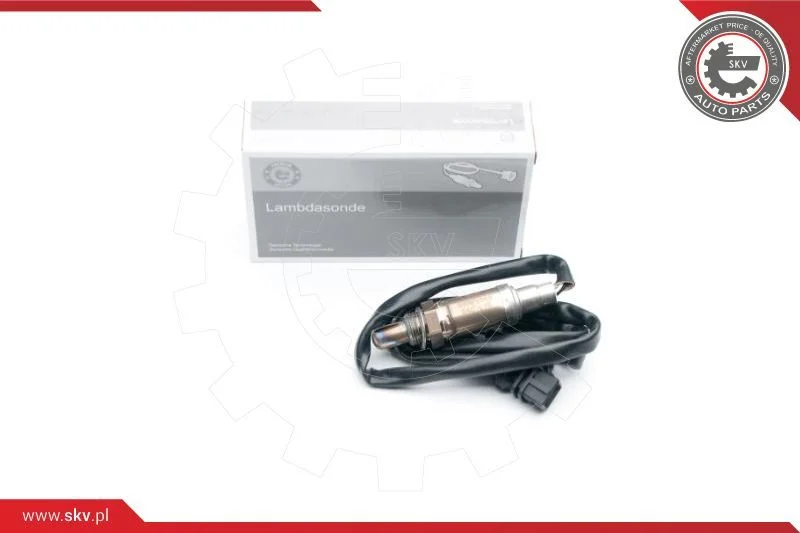 3922 ESEN SKV 09SKV545