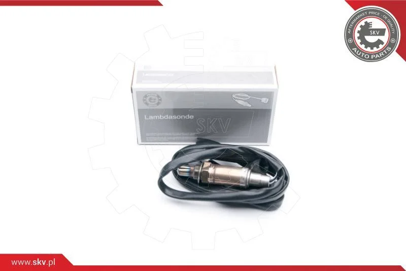 3922 ESEN SKV 09SKV546