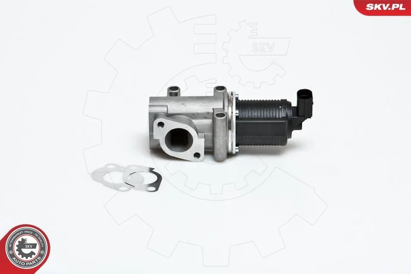 Ventil EGR ESEN SKV 14SKV006