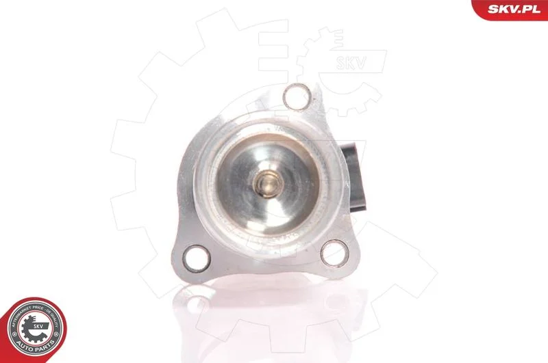Ventil EGR ESEN SKV 14SKV010