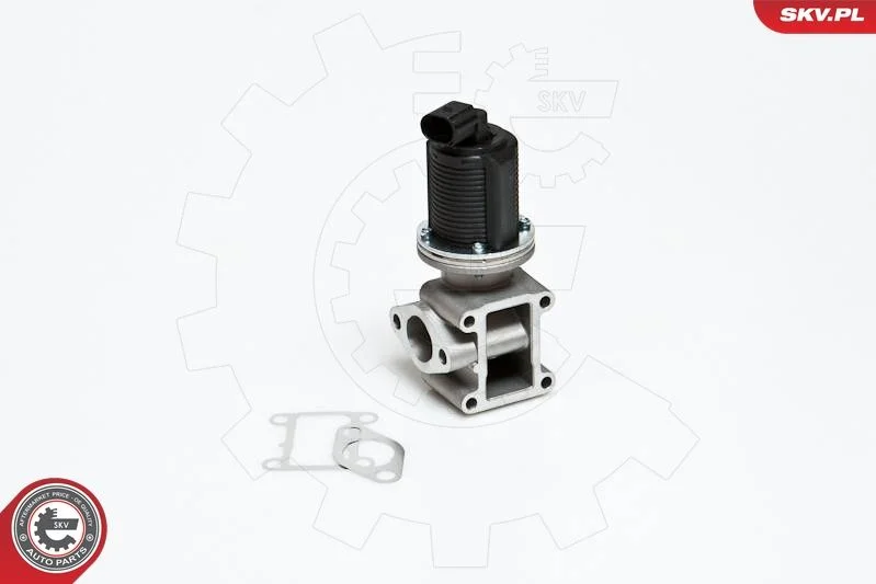 Ventil EGR ESEN SKV 14SKV012