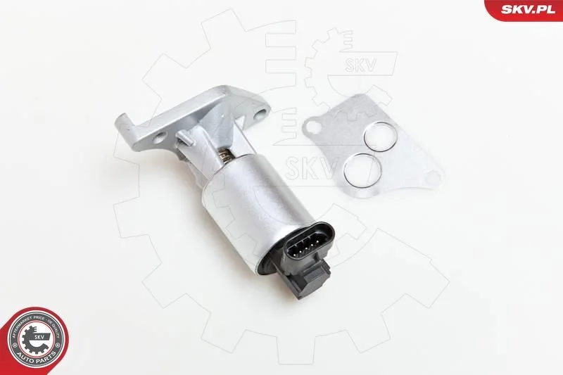 EGR Valve ESEN SKV 14SKV013