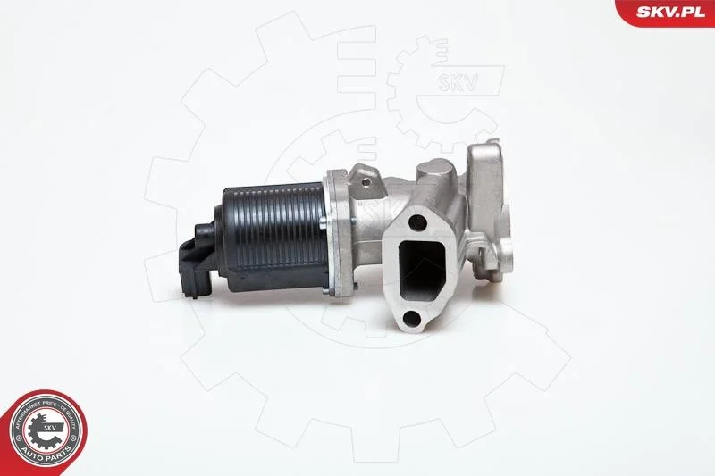 Ventil EGR ESEN SKV 14SKV014