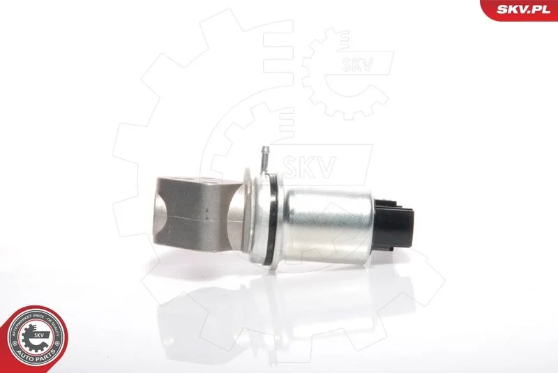 EGR Valve ESEN SKV 14SKV016