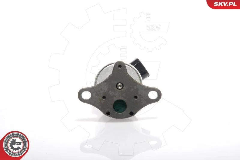 EGR Valve ESEN SKV 14SKV017
