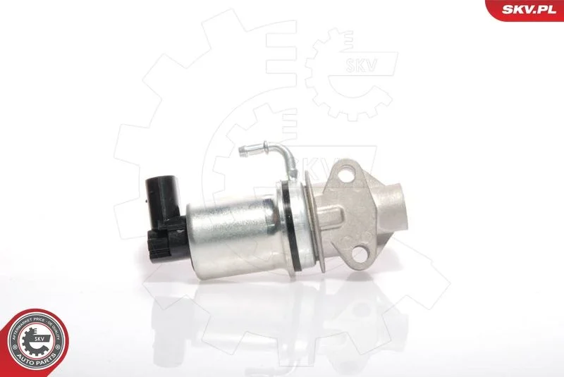 EGR Valve ESEN SKV 14SKV018