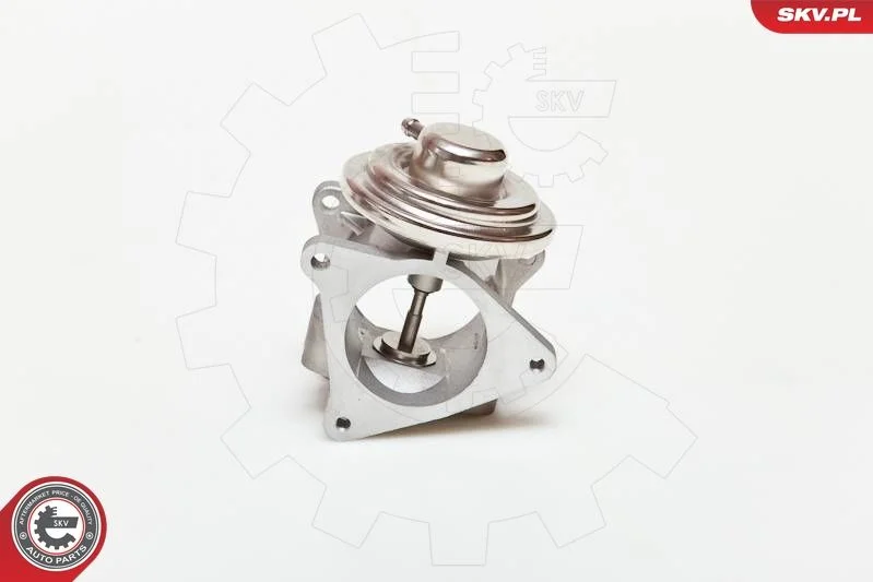 Ventil EGR ESEN SKV 14SKV019