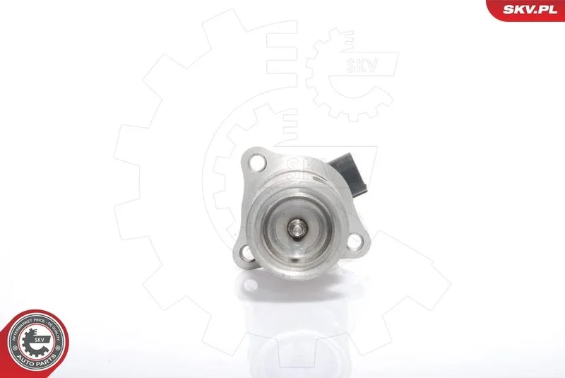 Ventil EGR ESEN SKV 14SKV021