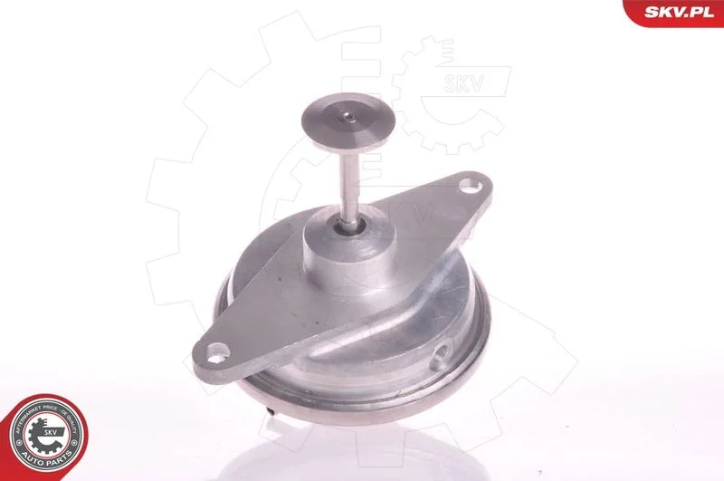 Ventil EGR ESEN SKV 14SKV022