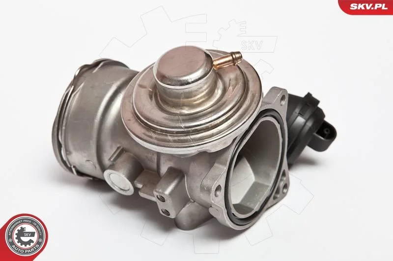 Ventil EGR ESEN SKV 14SKV024