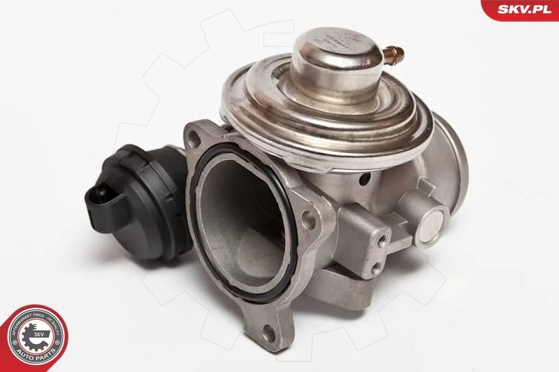 Ventil EGR ESEN SKV 14SKV026