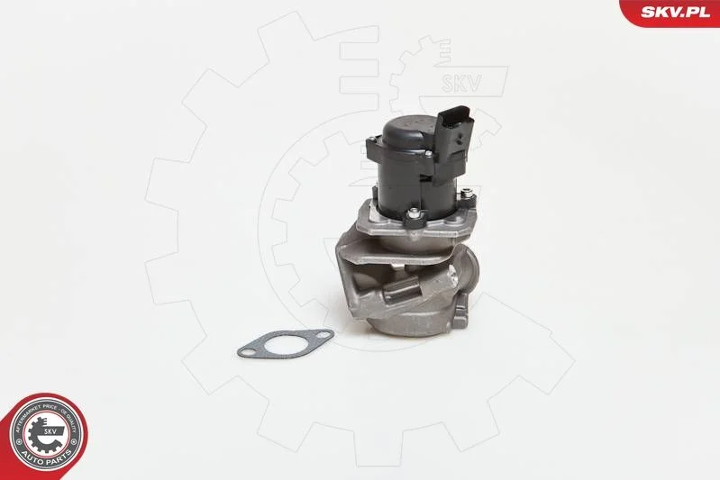 Ventil EGR ESEN SKV 14SKV027