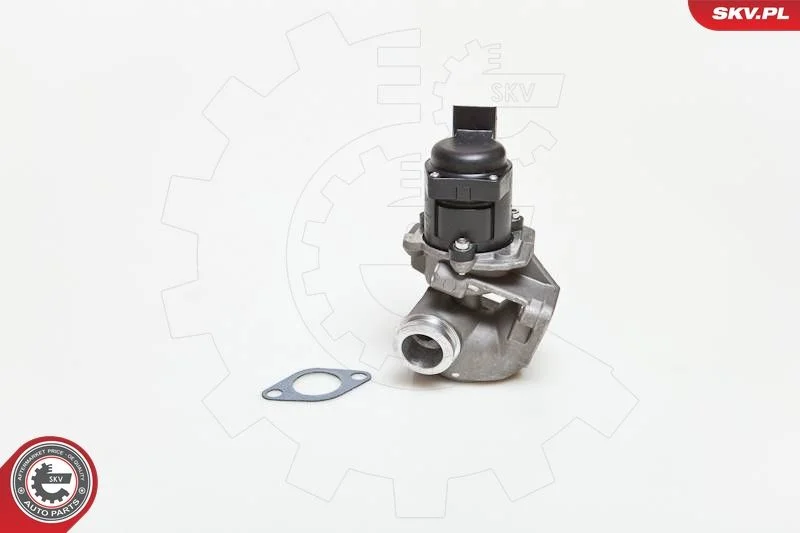 Ventil EGR ESEN SKV 14SKV028