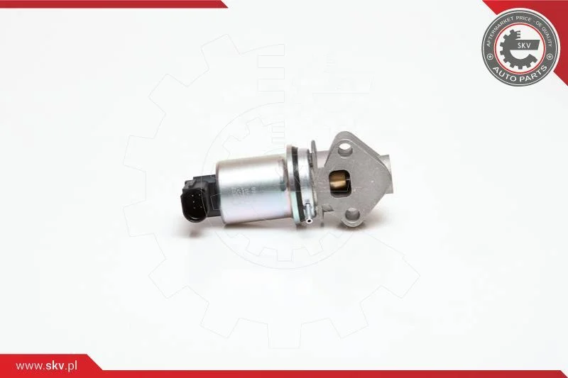 EGR Valve ESEN SKV 14SKV029