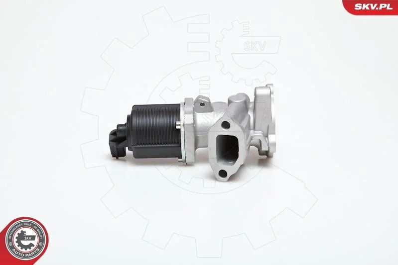 Ventil EGR ESEN SKV 14SKV031