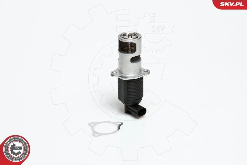 Ventil EGR ESEN SKV 14SKV032