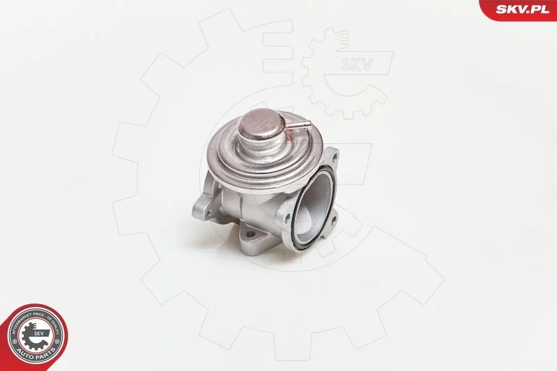 Ventil EGR ESEN SKV 14SKV034