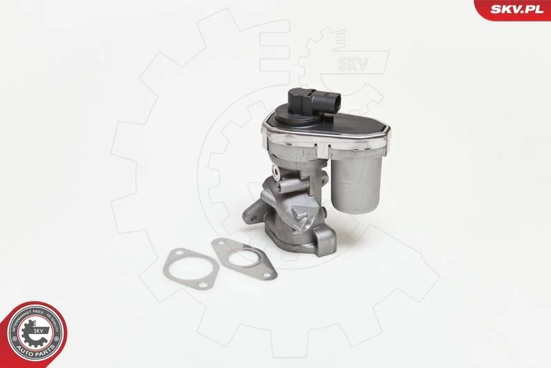 Ventil EGR ESEN SKV 14SKV038