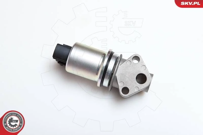 Ventil EGR ESEN SKV 14SKV043
