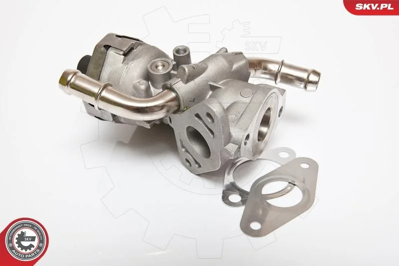 Ventil EGR ESEN SKV 14SKV044