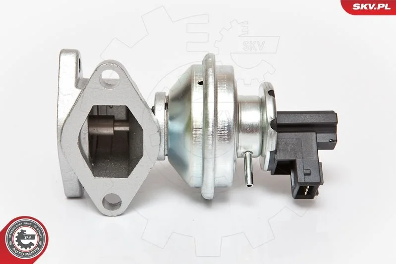 EGR Valve ESEN SKV 14SKV050