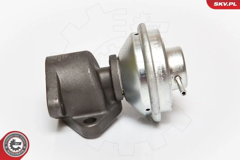 EGR Valve ESEN SKV 14SKV051