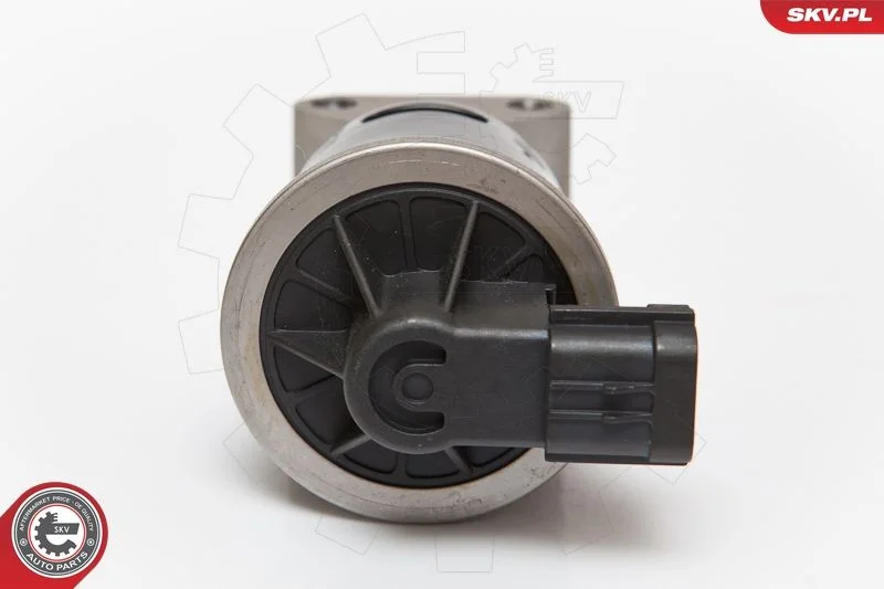 EGR Valve ESEN SKV 14SKV053