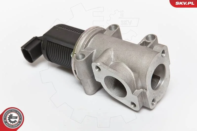 Ventil EGR ESEN SKV 14SKV055