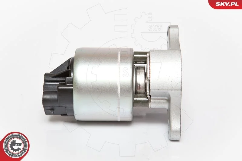 EGR Valve ESEN SKV 14SKV056