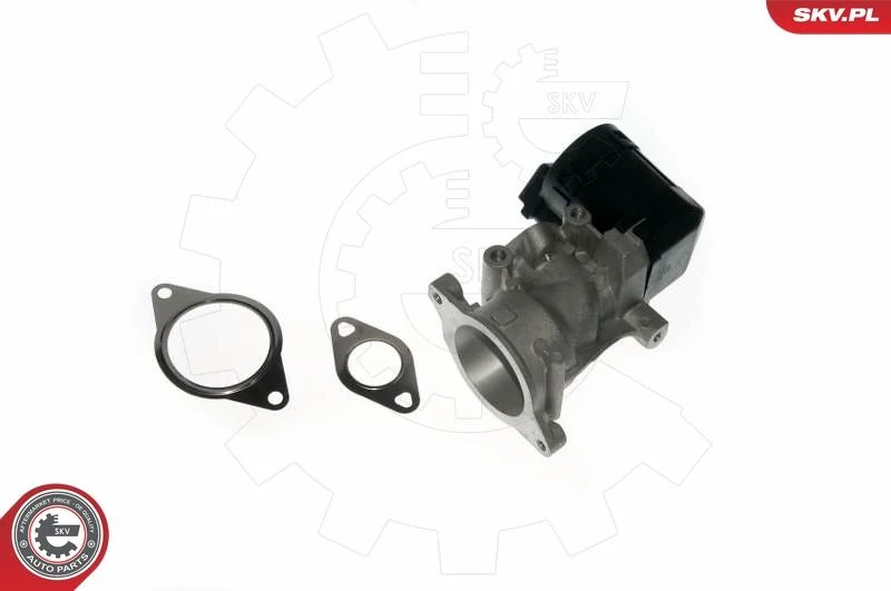 Ventil EGR ESEN SKV 14SKV057