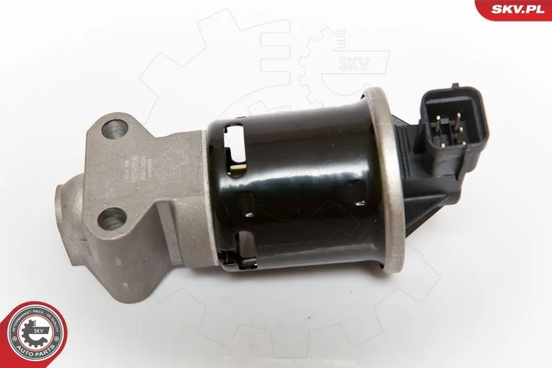 Ventil EGR ESEN SKV 14SKV059