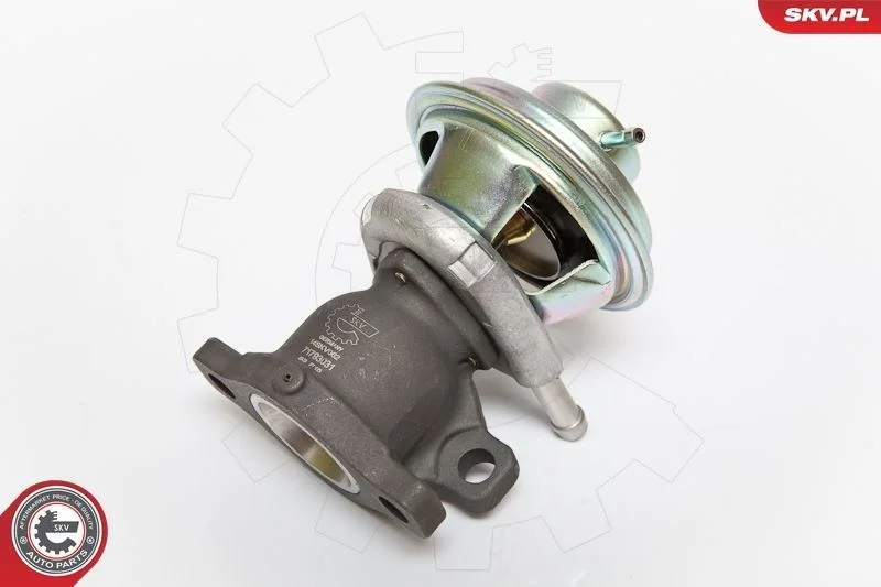 EGR Valve ESEN SKV 14SKV062