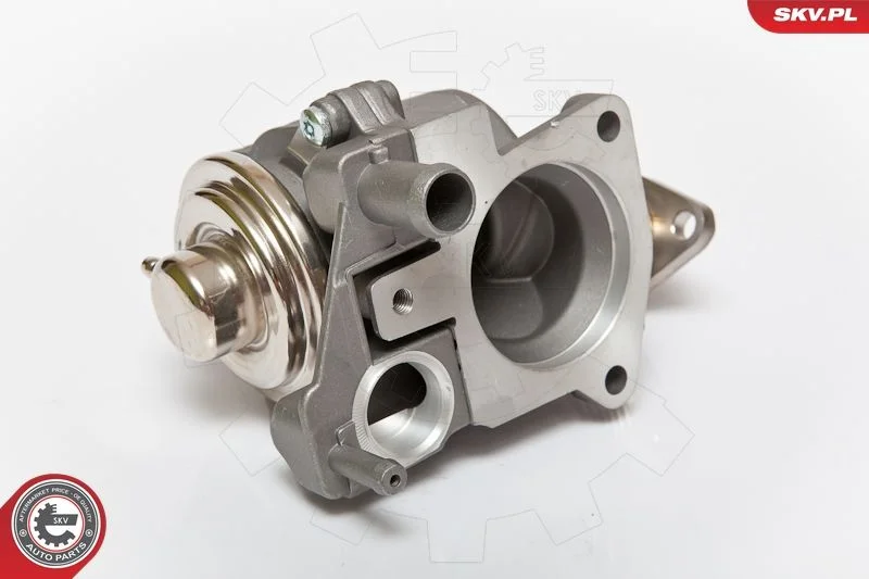 EGR Valve ESEN SKV 14SKV063