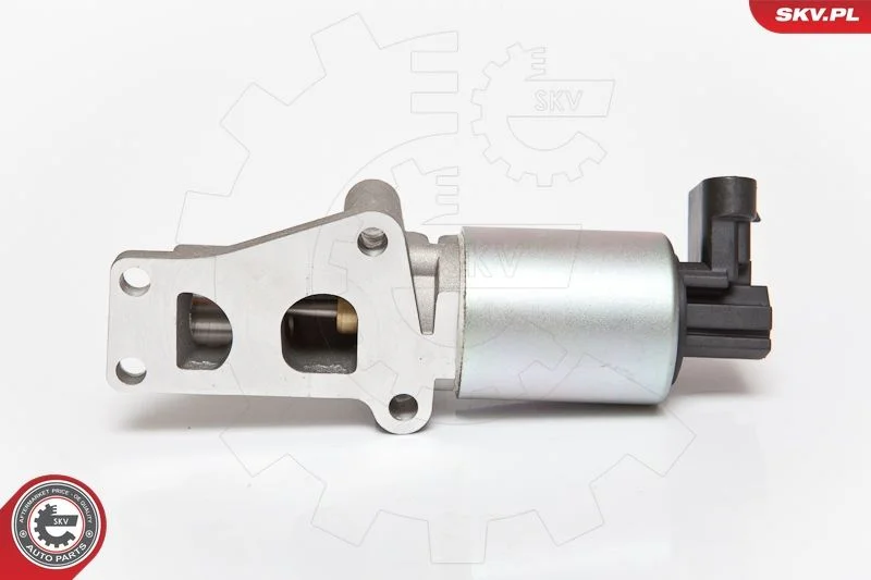 Ventil EGR ESEN SKV 14SKV065