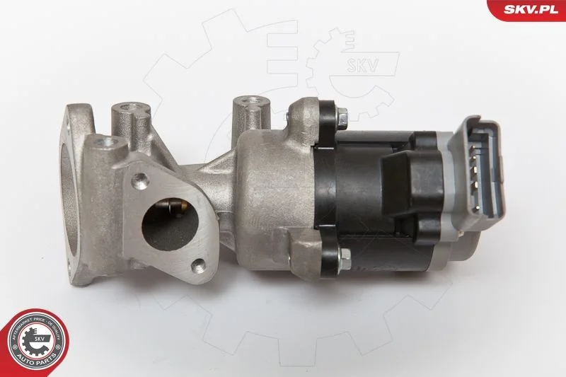 Ventil EGR ESEN SKV 14SKV066