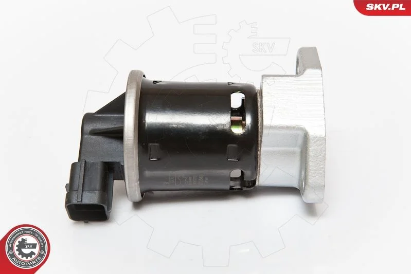 EGR Valve ESEN SKV 14SKV070