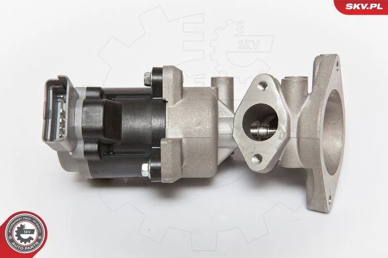 Ventil EGR ESEN SKV 14SKV072