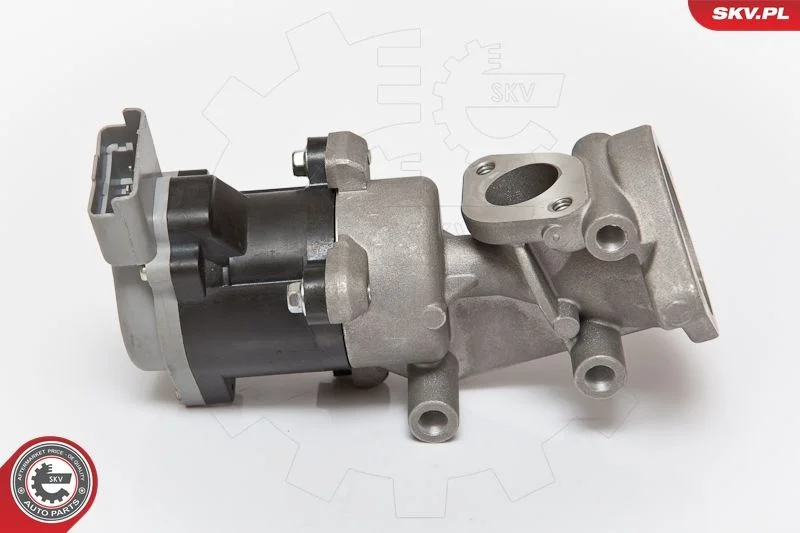 Ventil EGR ESEN SKV 14SKV073